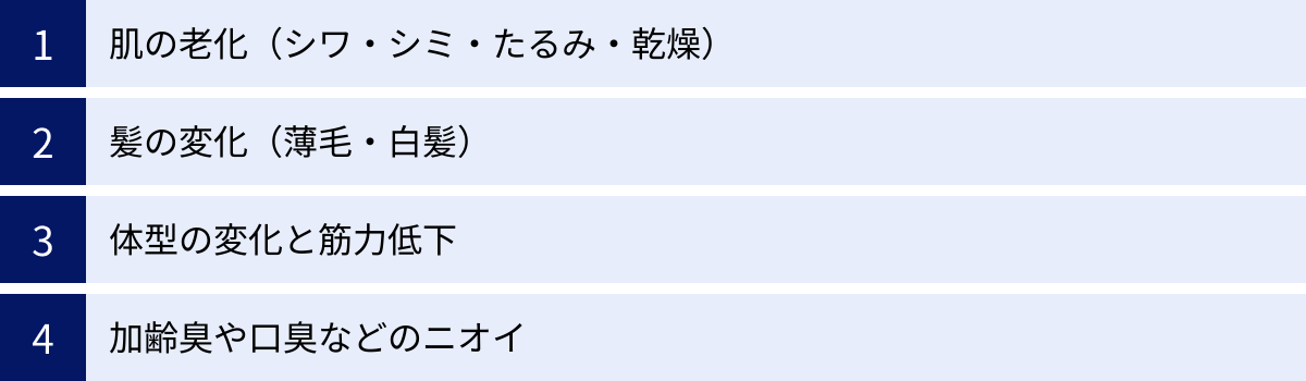 肌の老化（シワ・シミ・たるみ・乾燥）、髪の変化（薄毛・白髪）、体型の変化と筋力低下、加齢臭や口臭などのニオイ