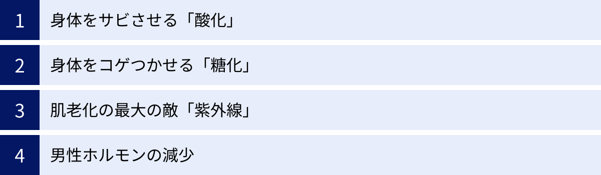 身体をサビさせる「酸化」、身体をコゲつかせる「糖化」、肌老化の最大の敵「紫外線」、男性ホルモンの減少