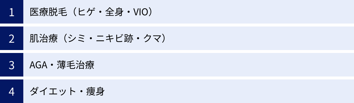 医療脱毛（ヒゲ・全身・VIO）、肌治療（シミ・ニキビ跡・クマ）、AGA・薄毛治療、ダイエット・痩身