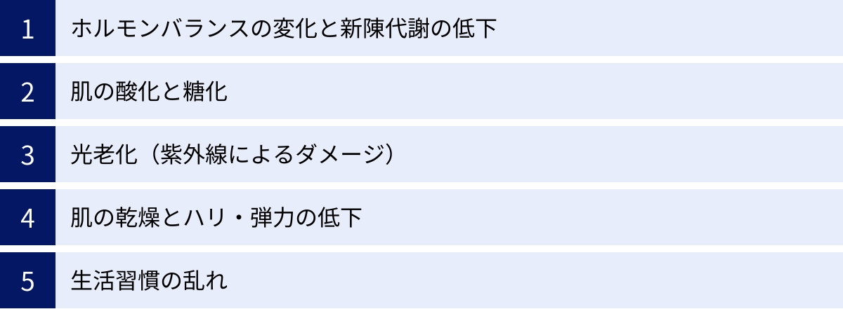 ホルモンバランスの変化と新陳代謝の低下、肌の酸化と糖化、光老化（紫外線によるダメージ）、肌の乾燥とハリ・弾力の低下、生活習慣の乱れ