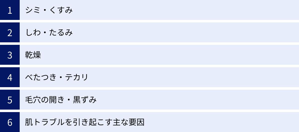 シミ・くすみ、しわ・たるみ、乾燥、べたつき・テカリ、毛穴の開き・黒ずみ、肌トラブルを引き起こす主な要因